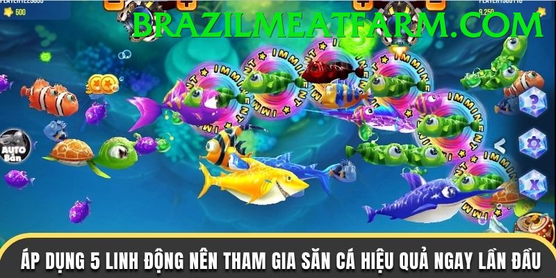 Game Bắn Cá Đổi Thưởng - vabet