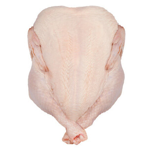 Frozen Chicken Grillers supplier