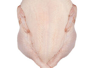 Frozen Chicken Grillers supplier