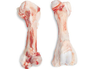 Frozen Pork Humerus for Sale online. Looking for high-quality frozen pork humerus for sale? Our premium cuts are sourced from trusted suppliers and offered at competitive prices. Order now and enjoy fast, reliable shipping.