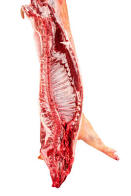 wholesale pork carcass supplier