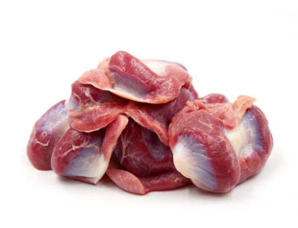 Frozen Chicken Gizzard for sale