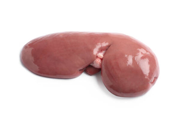 Frozen Pork Kidney for Sale