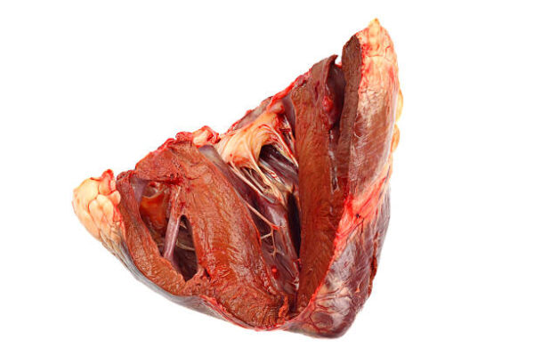 Frozen Beef Heart. Discover the best frozen beef heart for sale