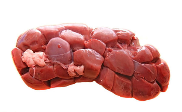 Frozen Beef Kidney wholesale supplier