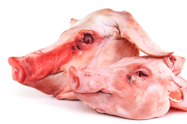 wholesale pork head for sale