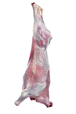 Frozen Beef Carcass