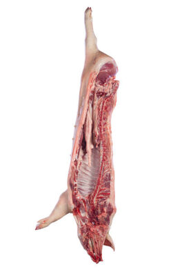 wholesale pork carcass for sale