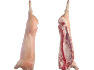 Frozen Pork Carcass for Sale