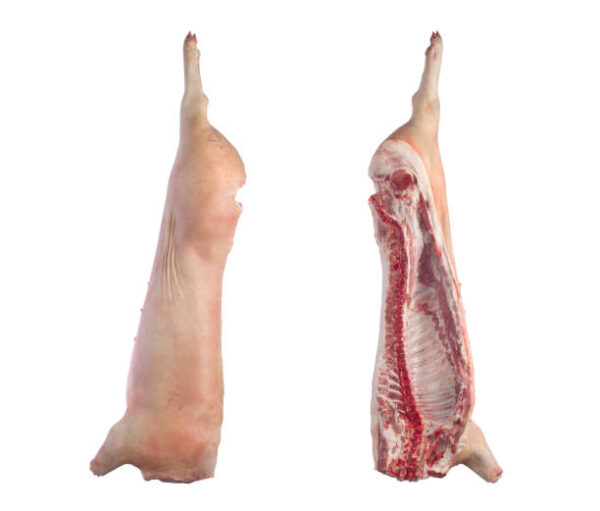 Frozen Pork Carcass for Sale