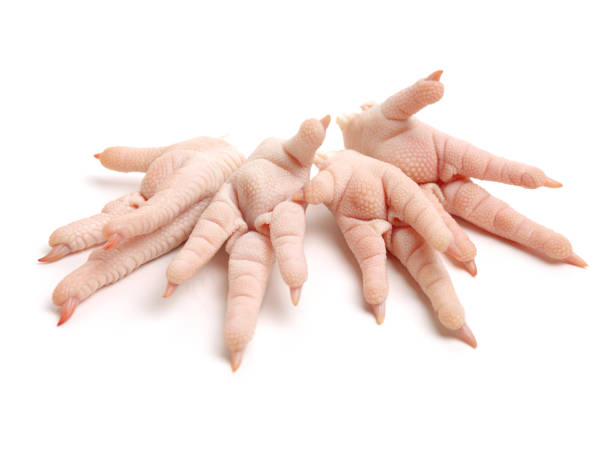 Wholesale Frozen Chicken Paws for Sale