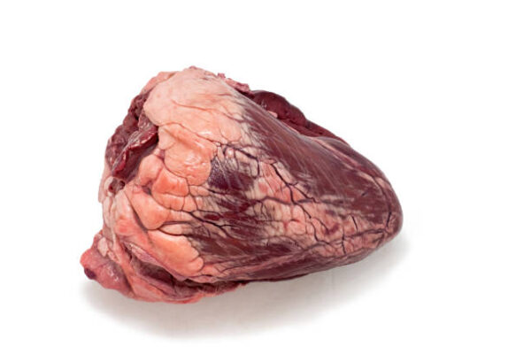 Frozen Beef Heart