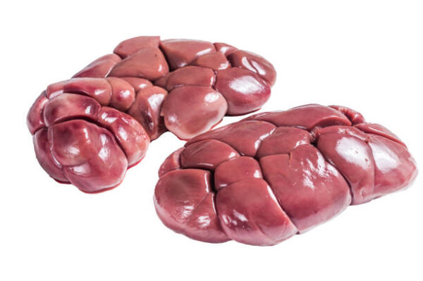 Frozen Beef Kidney for Sale - Premium Quality Wholesale from Brazil