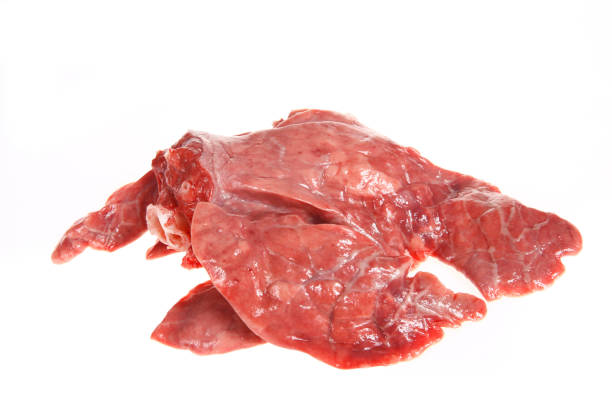Frozen Beef Lung for Sale - Premium Quality Wholesale from Brazil