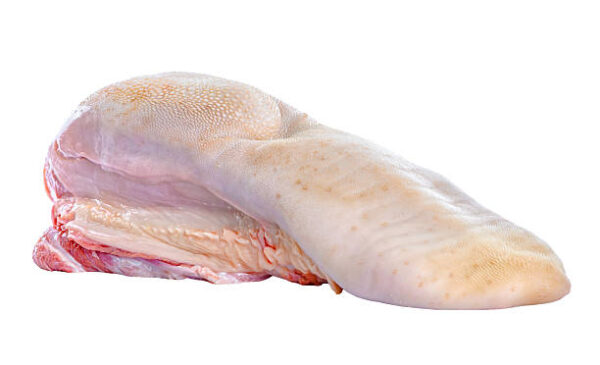 Frozen Beef Tongue for Sale | Wholesale Supplier | brazilmeatfarm.com