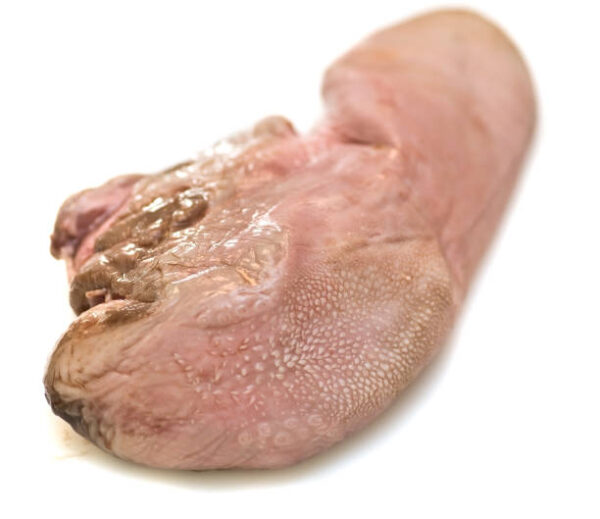 Frozen Beef Udder for Sale | Wholesale Supplier | brazilmeatfarm.com