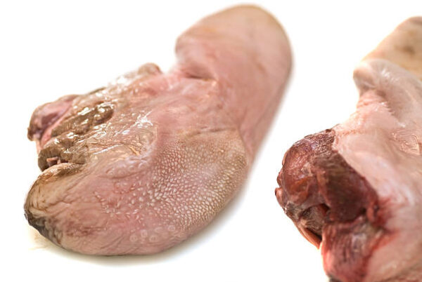 Frozen Beef Udder for Sale | Wholesale Supplier | brazilmeatfarm.com