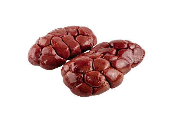 Frozen Beef Kidney for Sale - Premium Quality Wholesale from Brazil
