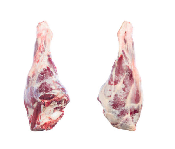Frozen Beef Leg for Sale - Premium Quality Wholesale from Brazil