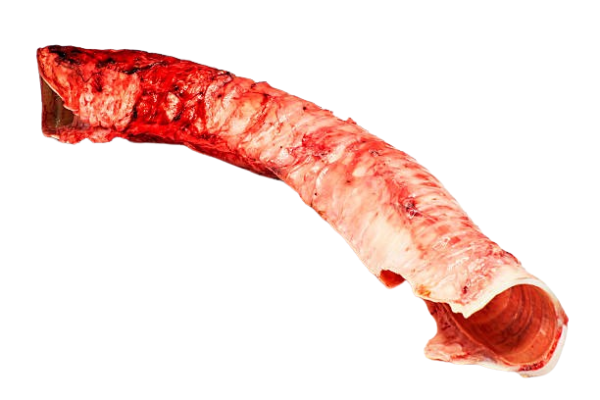 Frozen Beef Trachea for Sale | Wholesale Supplier | brazilmeatfarm.com