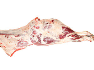 Wholesale Frozen Beef Hindquarter for Sale - Premium Quality from Brazil